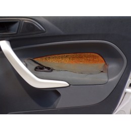 Portiera Anteriore Destra Ford Fiesta 6 2011