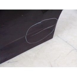 Portiera Posteriore Sinistra Ford C-Max 2016