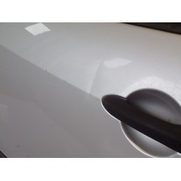 Portiera Anteriore Sinistra Renault Modus 2009