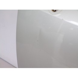 Portiera Anteriore Sinistra Renault Modus 2009