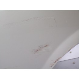Portiera Posteriore Sinistra Fiat Grande Punto